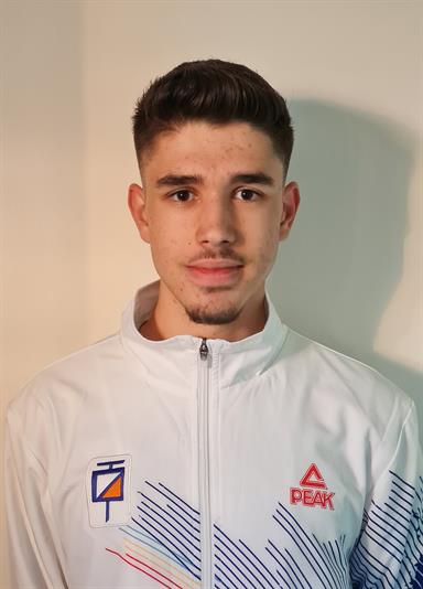 Ervin Nandor VIGH